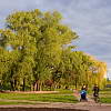  Фото Киева. Фото парков.  Профессиональный фотограф Дмитрий Бартош